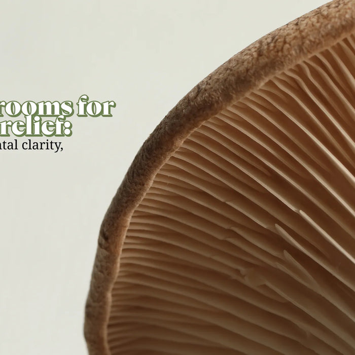 Functional Lyfe Blog – Mushrooms for Stress Relief: Extreme close-up of a mushroom cap showing natural texture, paired with text about mental clarity and stress reduction.