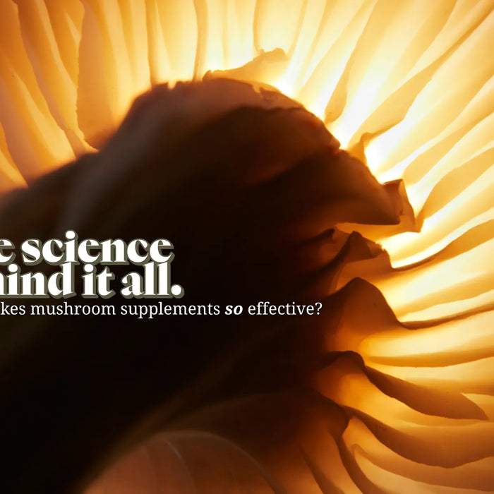 Functional Lyfe Blog – The Science Behind It All: Close-up of glowing mushroom gills with text overlay about the science behind mushroom supplements.