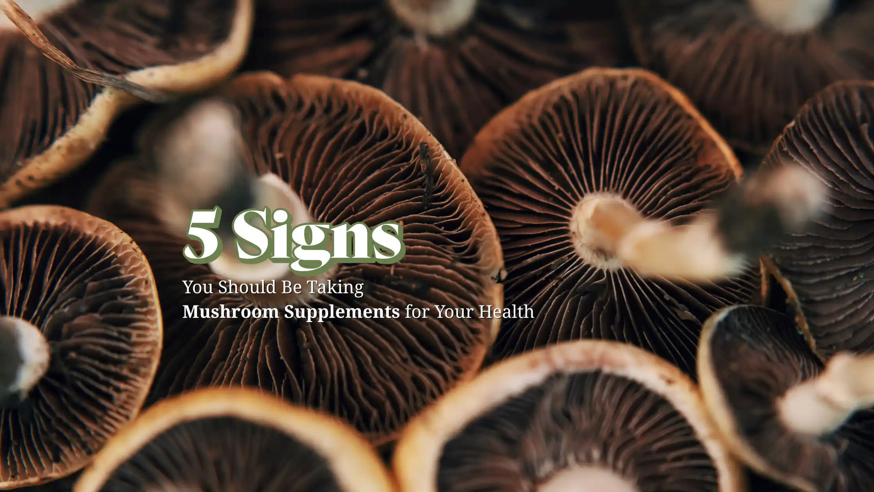 Functional Lyfe Blog – 5 Signs You Should Be Taking Mushroom Supplements for Your Health: Cluster of brown mushrooms with exposed gills and health-focused text overlay.