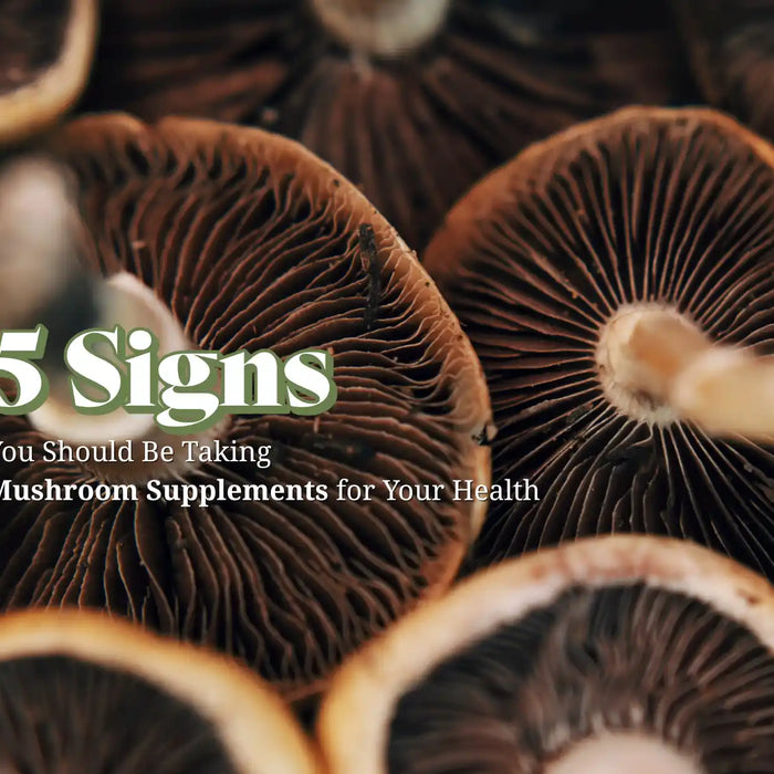 Functional Lyfe Blog – 5 Signs You Should Be Taking Mushroom Supplements for Your Health: Cluster of brown mushrooms with exposed gills and health-focused text overlay.