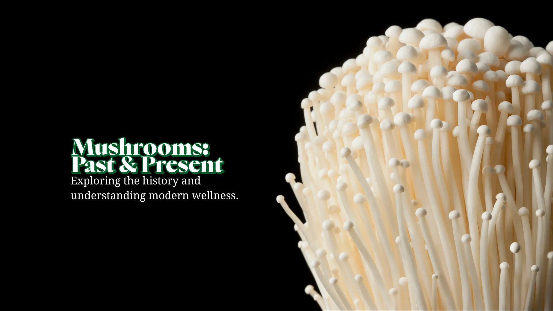 Functional Lyfe Blog – Mushrooms: Past & Present: White enoki mushrooms on a black background with text about the history and modern relevance of mushrooms in wellness.