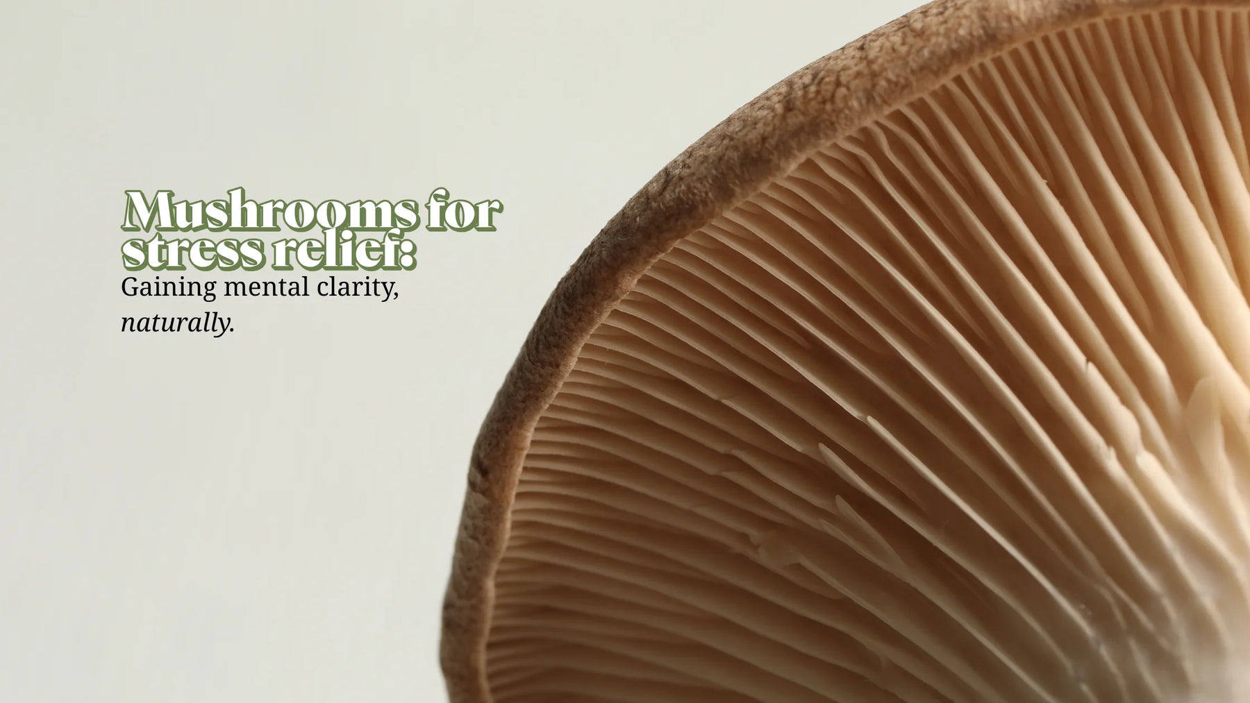 Functional Lyfe Blog – Mushrooms for Stress Relief: Extreme close-up of a mushroom cap showing natural texture, paired with text about mental clarity and stress reduction.